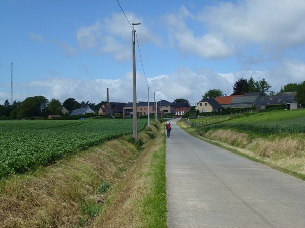 2012-06-08 Zingem 051