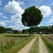 2012-06-10 Haacht 004