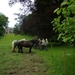 2012-06-09 KKT Gaasbeek 046