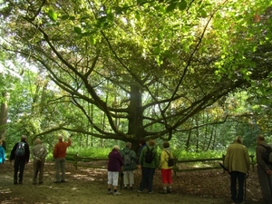 2012-06-09 KKT Gaasbeek 063