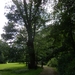 2012-06-09 KKT Gaasbeek 067