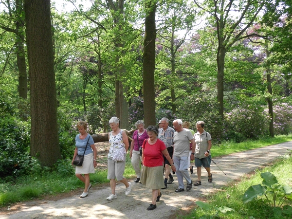 DSCI0026 Schoten park Vordenstein