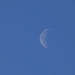 105-105-P1050618