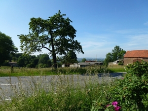 2012-06-14 Kluisbergen 005