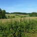 2012-06-14 Kluisbergen 006