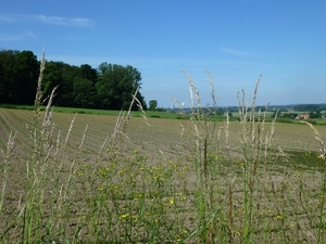 2012-06-14 Kluisbergen 015