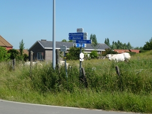 2012-06-14 Kluisbergen 019