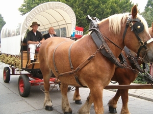 FESTIVALDAG 2005 037