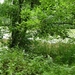 2012-06-16 Rijmenam 012
