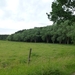 2012-06-16 Rijmenam 022