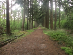 Veenendaal, 16 juni 2012 017