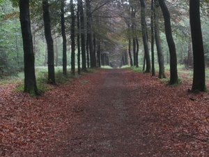 Veenendaal, 16 juni 2012 018