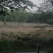 Veenendaal, 16 juni 2012 029