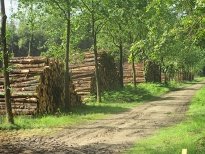 Veenendaal, 16 juni 2012 033