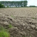 2012-06-17 Opwijk 005