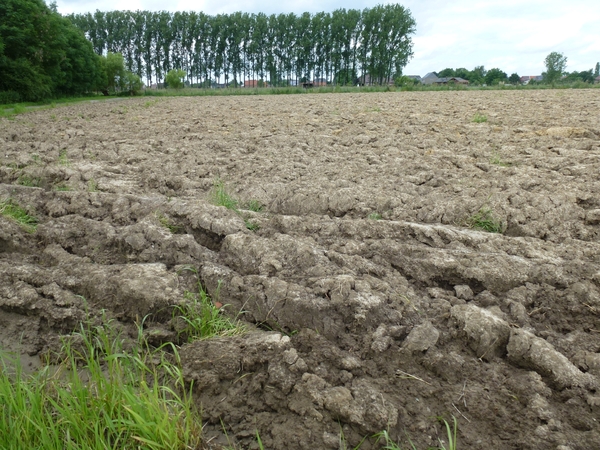 2012-06-17 Opwijk 005