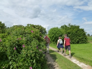 2012-06-17 Opwijk 009