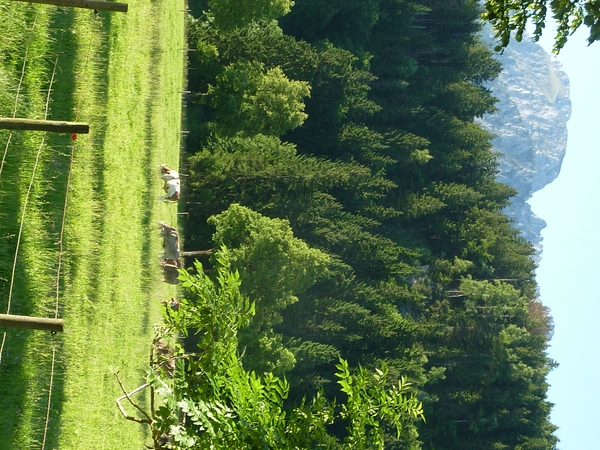 P1050230