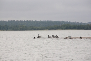 P8230160