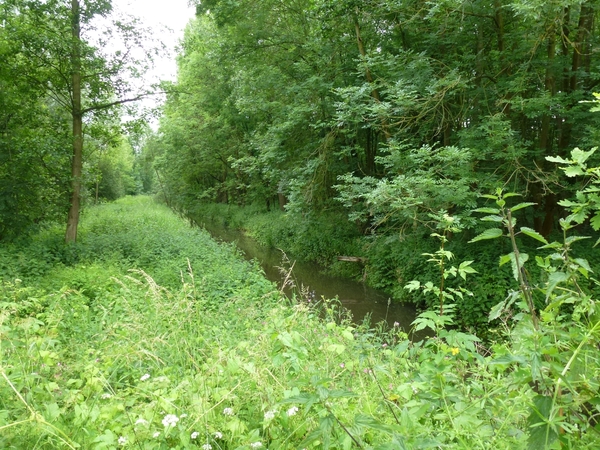 2012-06-17 Opwijk 015