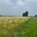 2012-06-20 Sint-Goriks-Oudenhove 004