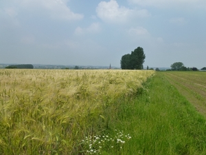 2012-06-20 Sint-Goriks-Oudenhove 004