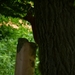 2012-06-20 Sint-Goriks-Oudenhove 015