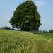 2012-06-20 Sint-Goriks-Oudenhove 017