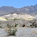 038  Death Valley