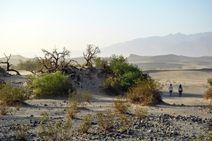 039  Death Valley