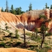 082 Bryce Canyon