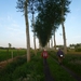 2012-06-22 Torhout 018