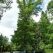 2012-06-22 Torhout 042