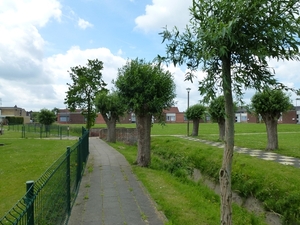2012-06-22 Torhout 045