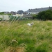 2012-06-24 Lede 004