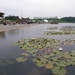 Floriade  Waterdelta