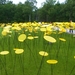 Floriade Arcadis experience