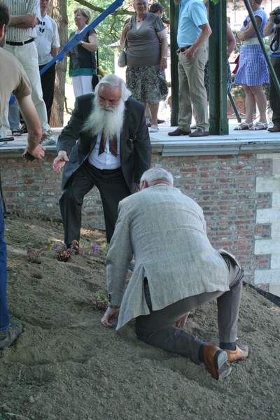 Mr Dauwe plant bloemetje