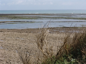 DSC09256