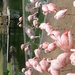 DSC09331