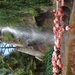 DSC09365