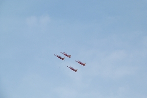 224-SF 260-RED DEVILS-Belgium