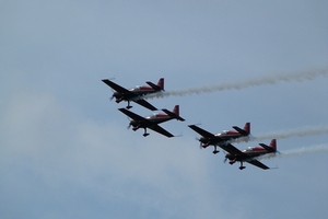 286-Jordanian Falcons