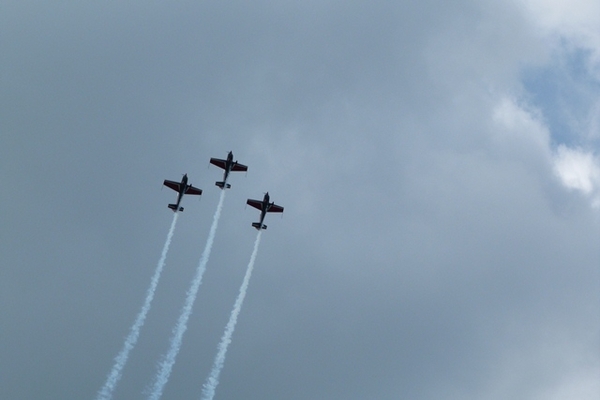 288-Jordanian Falcons