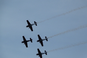 290-Jordanian Falcons