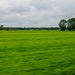 Veel groen gezien  , van uit de bus