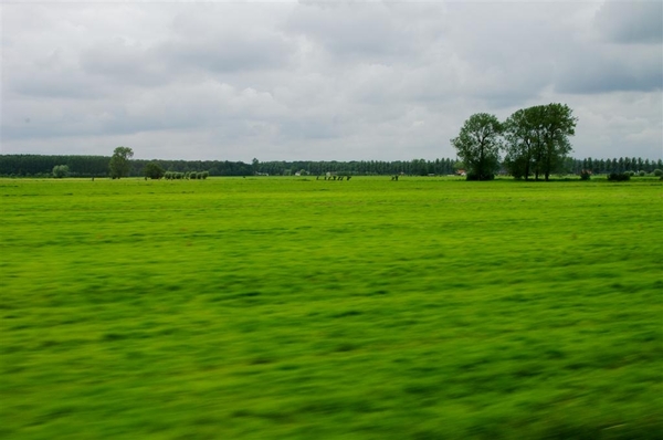 Veel groen gezien  , van uit de bus