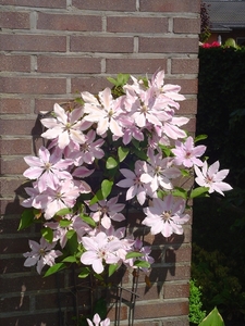 DSC00500