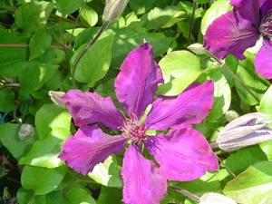 DSC00496