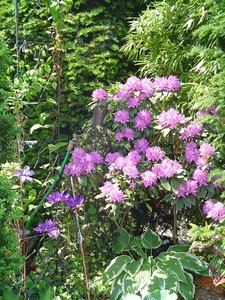 DSC00490